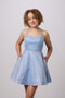 Petite Junior Fit and Flare Glitter Dress in blue.