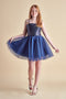 Sequin and Tulle Party Dress in navy.