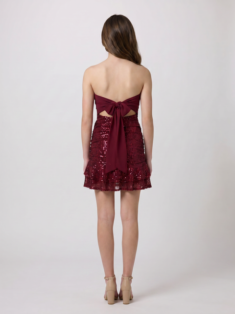 Tiered Sequin Tie-Back Dress
