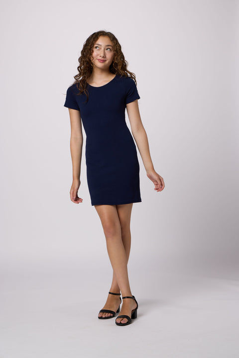 Short Sleeve Dress with Sleeve Insert