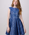 Cap Sleeve Boat Neck Lace Dress In Longer Length.