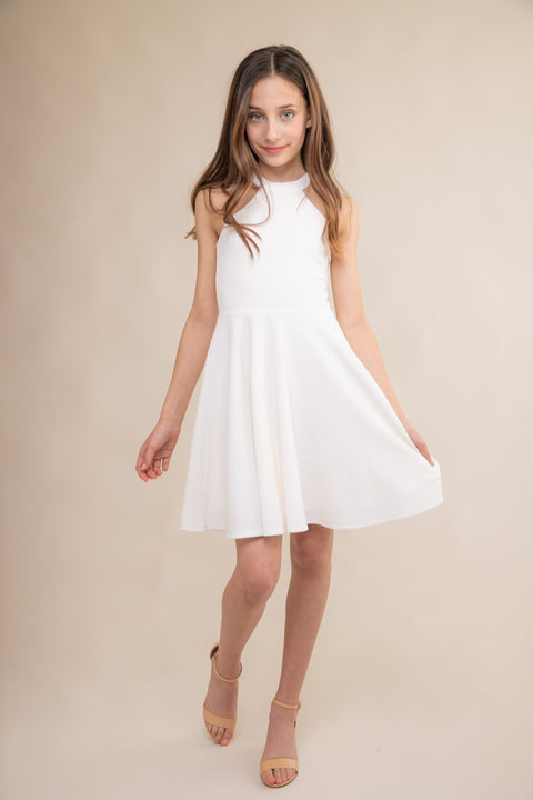 long white skater dress Women's Sleeveless Embroidered Midi Skater Dress