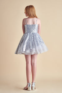 Peek-a-Boo Sequin Dress in Silver
